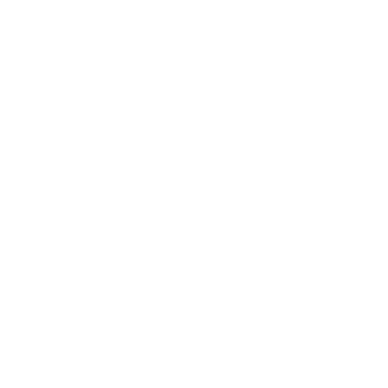 Steven Sarrel, CPA at Raines & Fischer logo