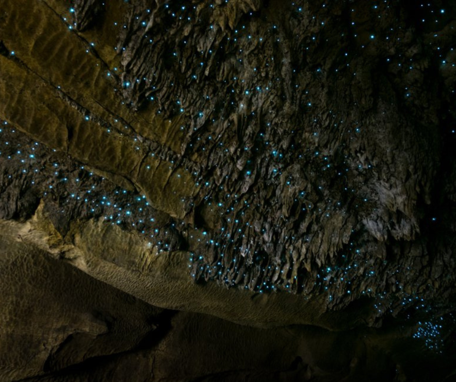 Waitomo Caves, New Zealand